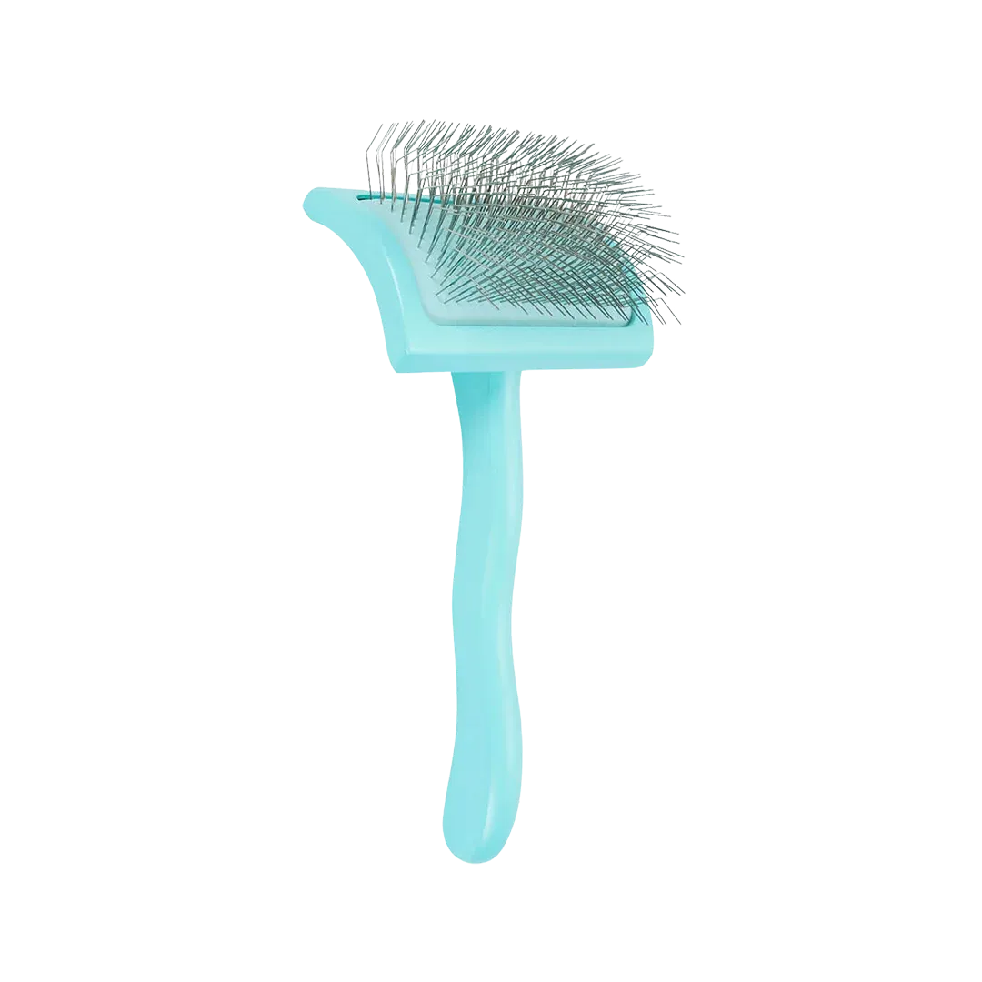 Medium Home Care Big G Teal Slicker Brush by Chris Christensen